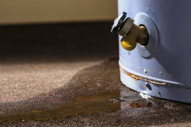 Best Water damage restoration specialists  in Deep River Center, CT