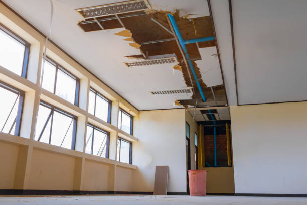 Best Flood damage cleanup  in Deep River Center, CT