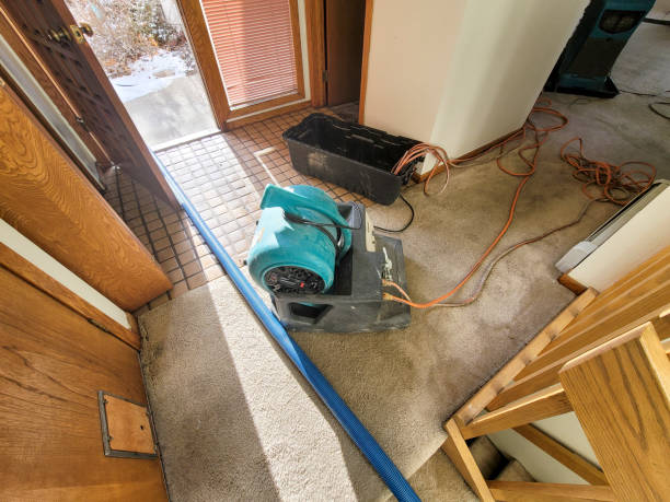 Best Flooded house restoration  in Deep River Center, CT