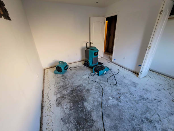 Best Carpet water damage restoration  in Deep River Center, CT