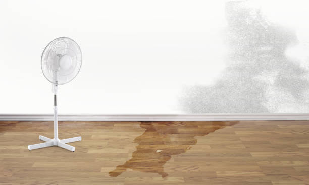 Best Flood restoration services  in Deep River Center, CT