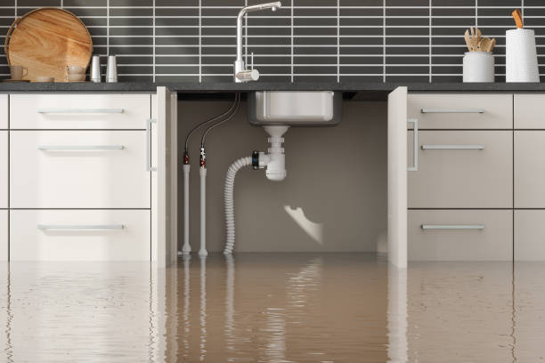 Best Water damage cleanup near me  in Deep River Center, CT