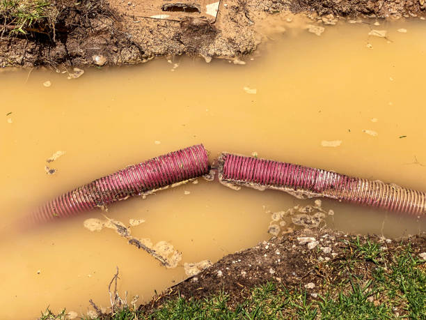 Best Water damage restoration near me  in Deep River Center, CT